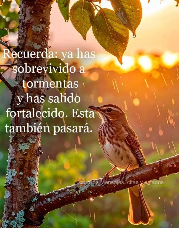 Recuerda: ya has sobrevivido a tormentas y has salido fortalecido. Esta también pasará.