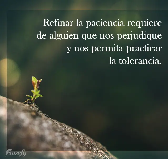 Refinar la paciencia requiere de alguien que nos perjudique y nos permita practicar la tolerancia.