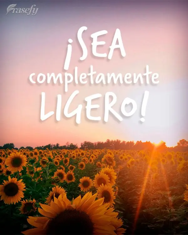 ¡Sea completamente ligero!