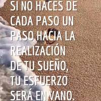 Si no haces que cada paso sea a un escalón más cerca de la realización de tus sueños, tu esfuerzo será en vano.