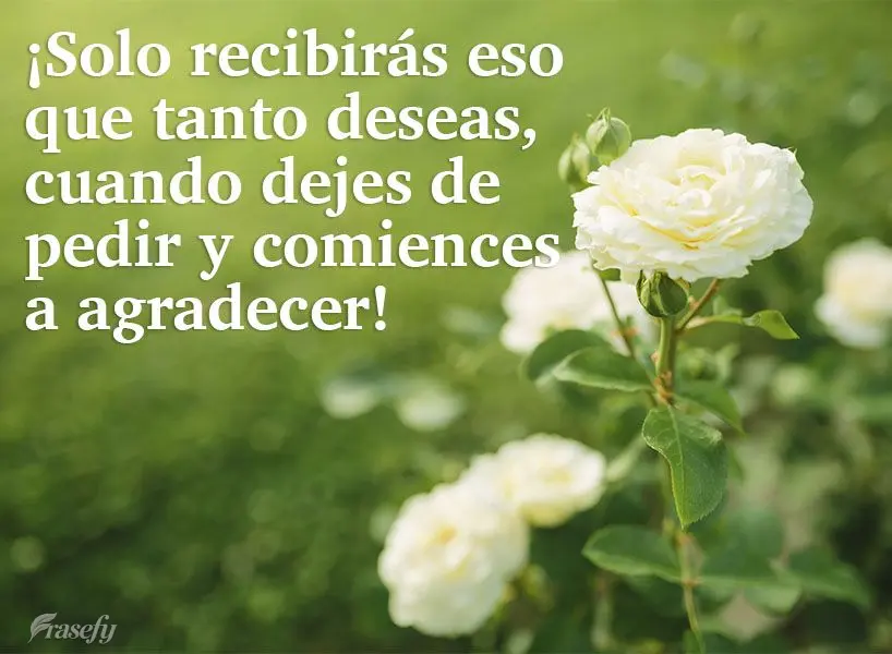 ¡Solo recibirás eso que tanto deseas, cuando dejes de pedir y comiences a agradecer!