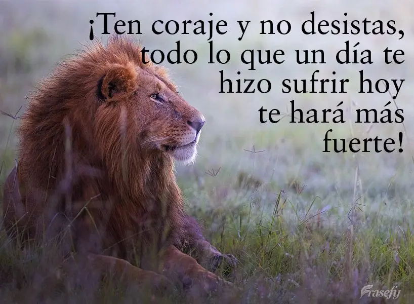 ¡Ten coraje y no desistas, todo lo que un día te hizo sufrir hoy te hará más fuerte!