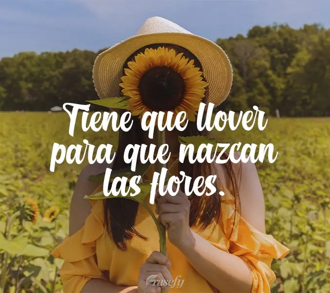 Tiene que llover para que nazcan las flores.