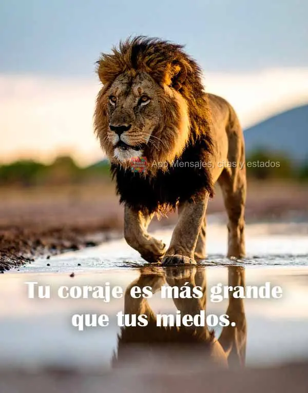 Tu coraje es más grande que tus miedos.