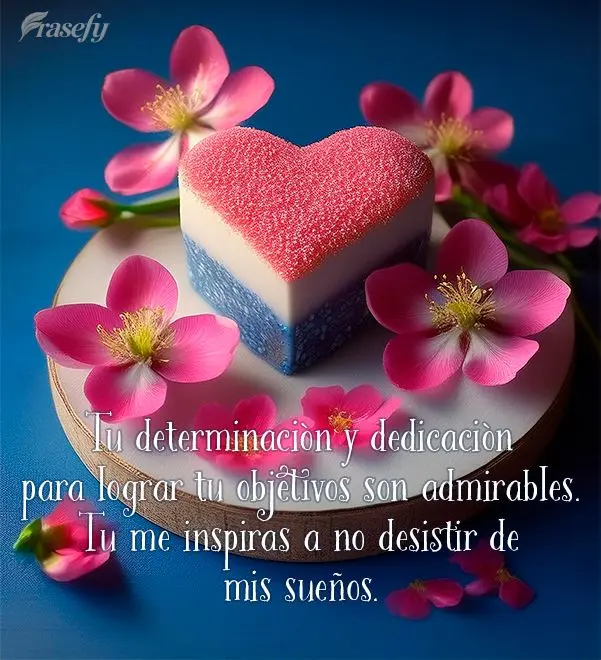 Tu determinación y dedicación para lograr tu objetivos son admirables. Tu me inspiras a no desistir de mis sueños.