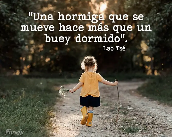 "Una hormiga que se mueve hace más que un buey dormido". Lao Tse