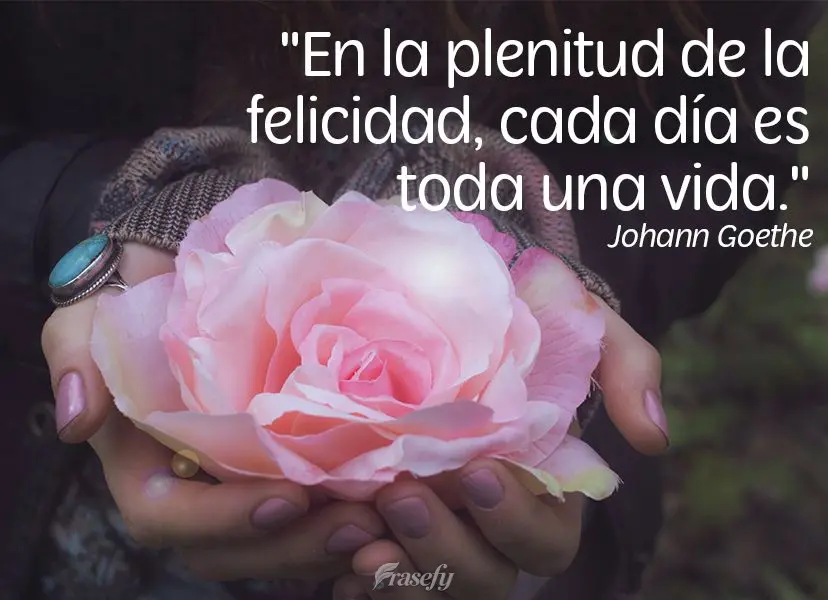 Na plenitude da felicidade, cada dia é uma vida inteira.  Johann Goethe