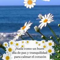 ¡Nada como un buen día de paz y tranquilidad para calmar el corazón y vivir la vida de una manera más ligera y a gusto con la vida! ¡Buen día!