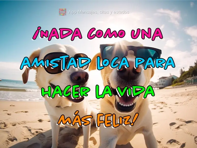 ¡Nada como una amistad loca para hacer la vida más feliz!