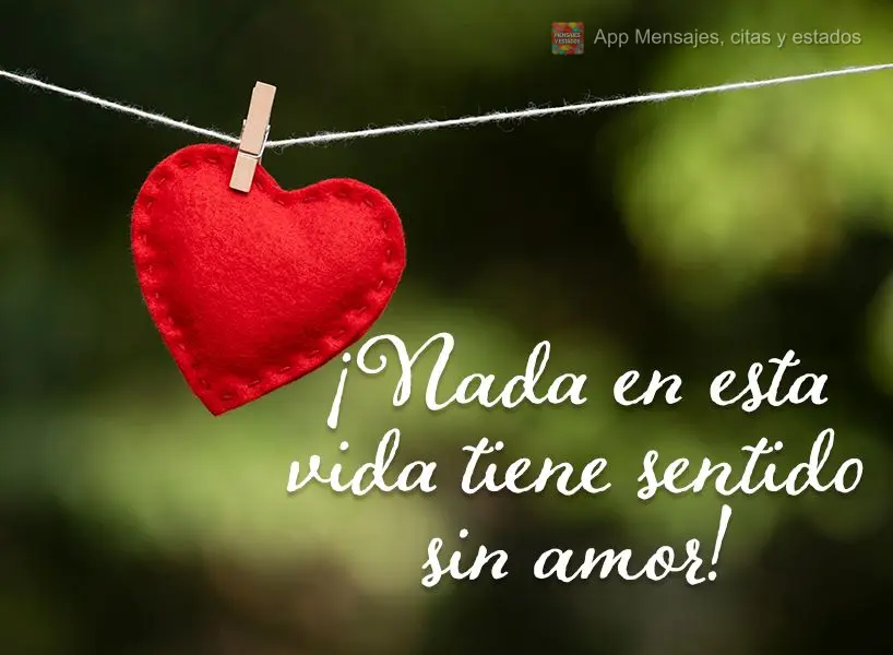 ¡Nada en esta vida tiene sentido sin amor!