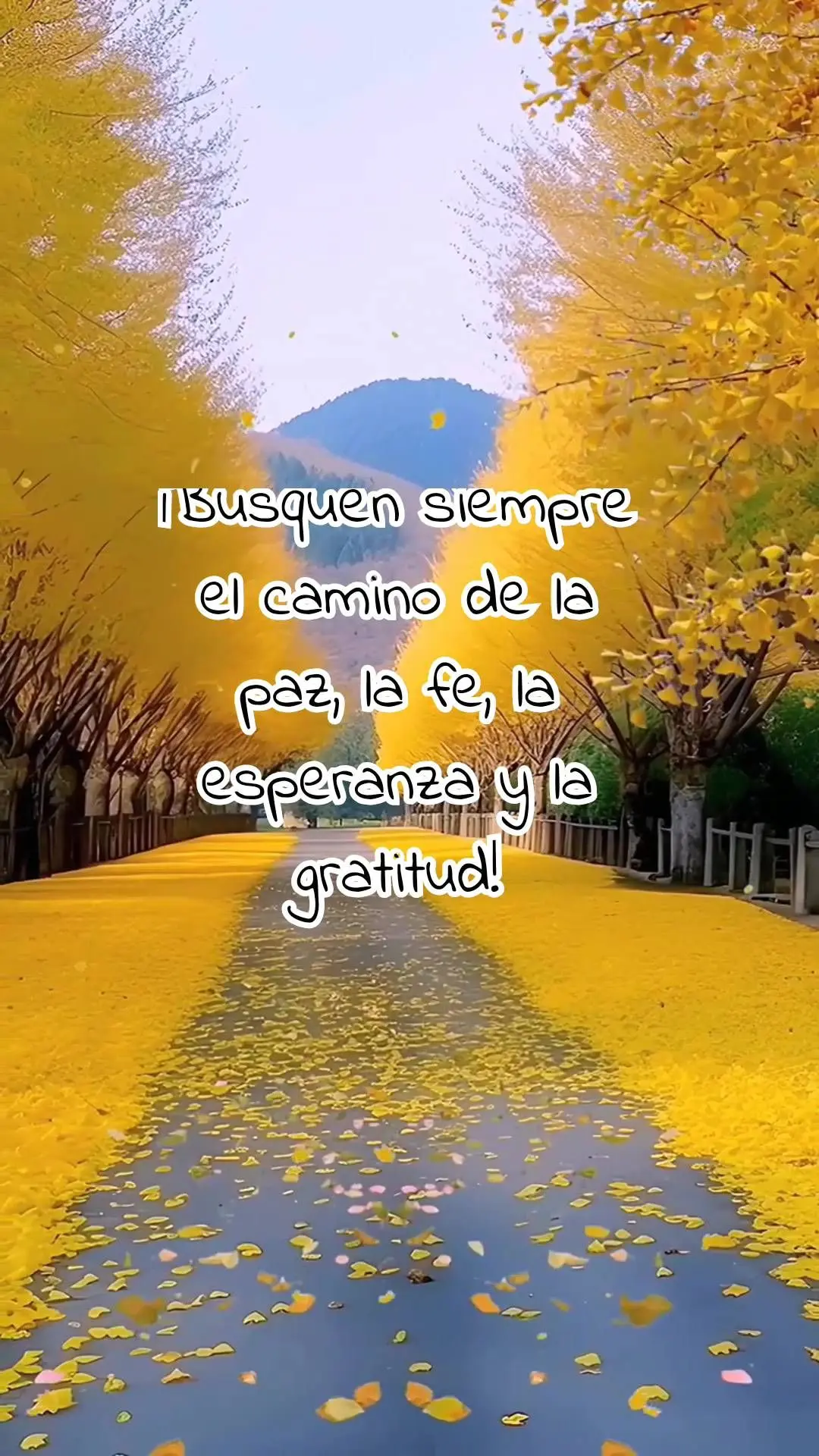 ¡Nada puede obstaculizar el camino de quienes permanecen optimistas y confiados en los planes de Dios! ¡Busquen siempre el camino de la paz, la fe, la ...