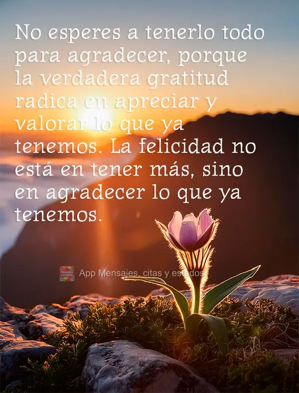 No esperes a tenerlo todo para agradecer, porque la verdadera gratitud radica en apreciar y valorar lo que ya tenemos. La felicidad no está en tener má...