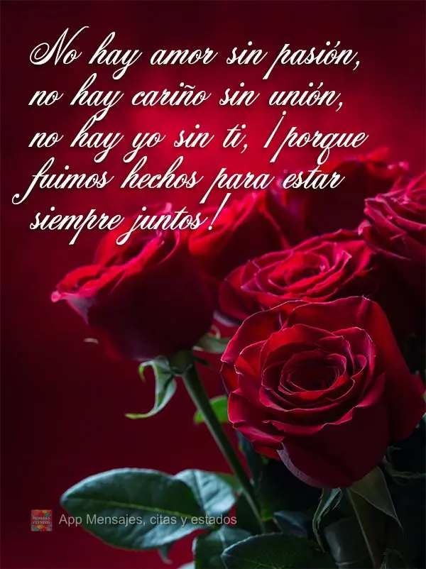 No hay amor sin pasión, no hay cariño sin unión, no hay yo sin ti, ¡Porque fuimos hechos para estar siempre juntos!