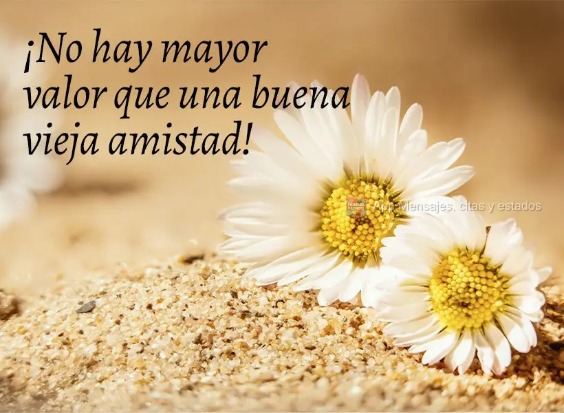 ¡No hay mayor valor que una buena vieja amistad!