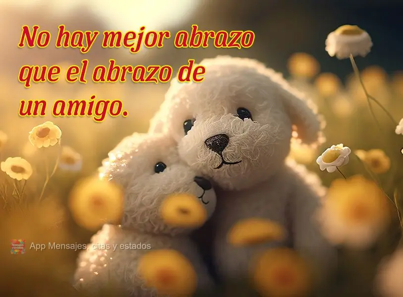 No hay mejor abrazo que el abrazo de un amigo.