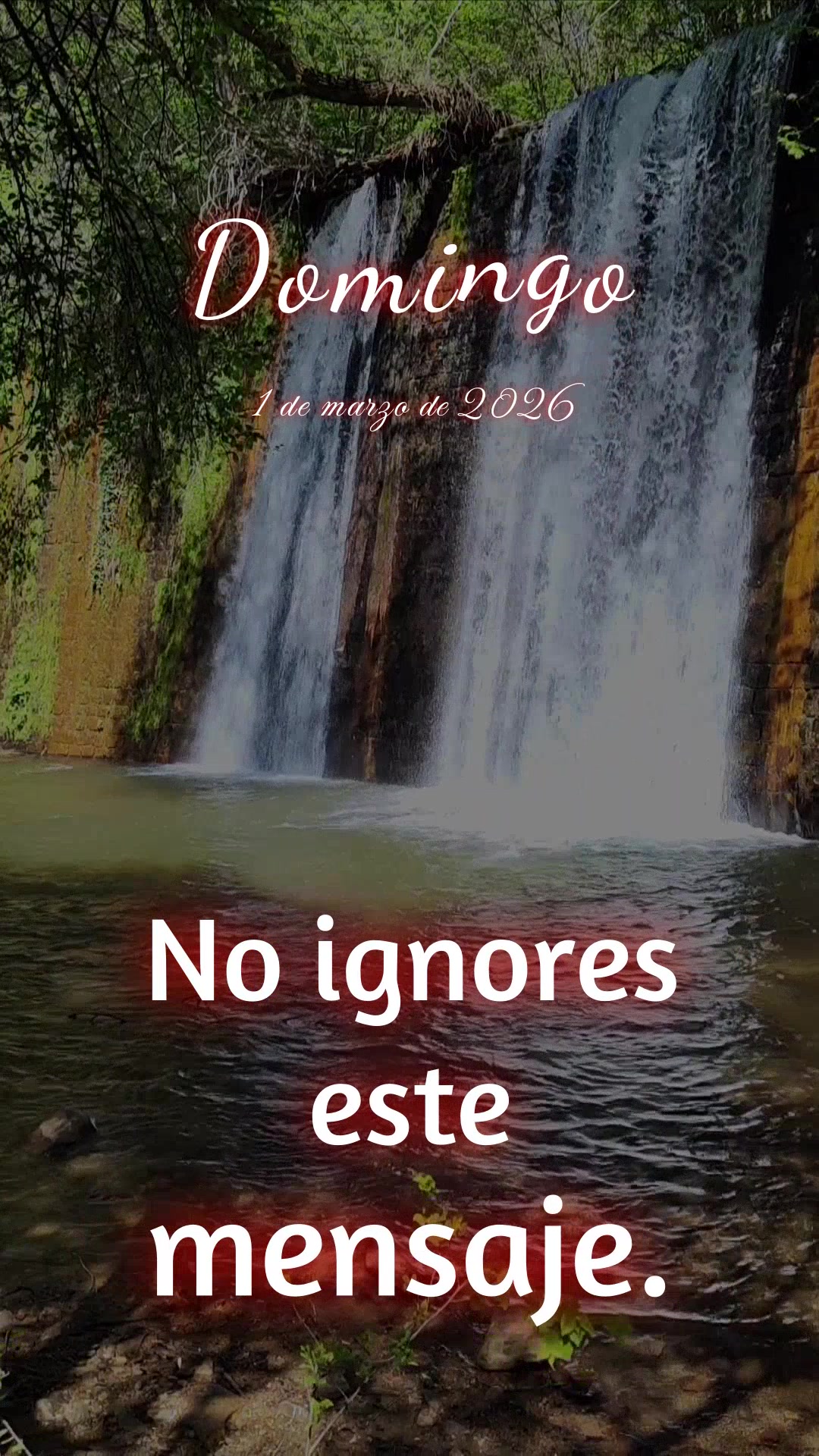 No ignores este mensaje... Hoy es domingo, 1 de marzo de 2026, y quiero que sepas algo importante: los desafíos que estás enfrentando no son más grand...