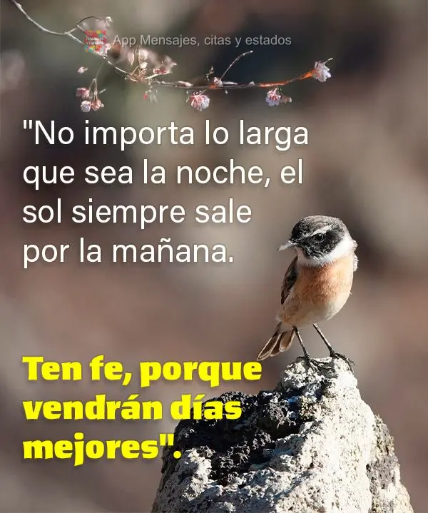 "No importa lo larga que sea la noche, el sol siempre sale por la mañana. Ten fe, porque vendrán días mejores".