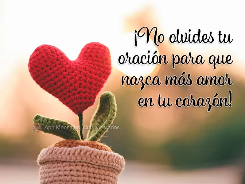 ¡No olvides tu oración para que nazca más amor en tu corazón!