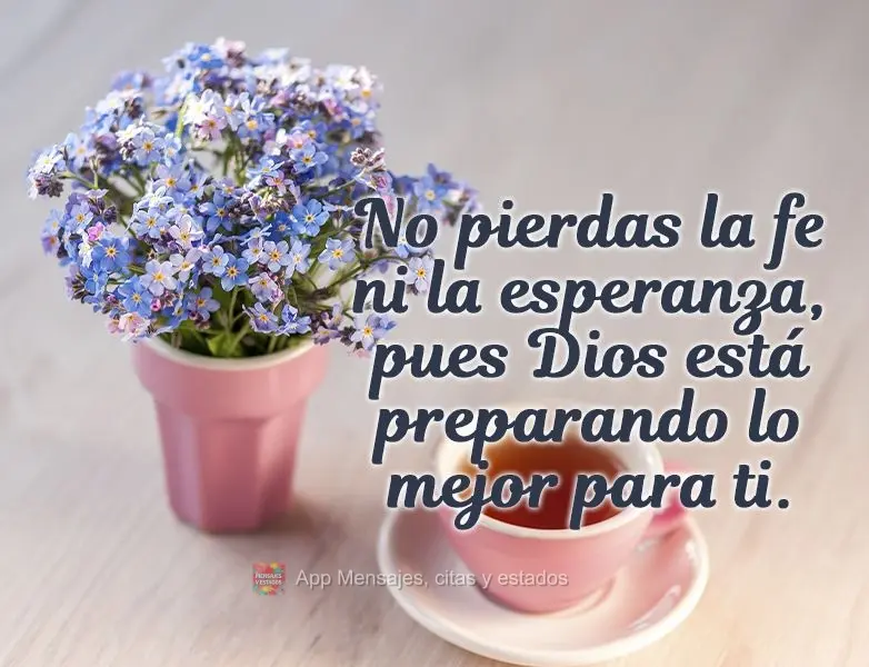 No pierdas la fe ni la esperanza, pues Dios está preparando lo mejor para ti.