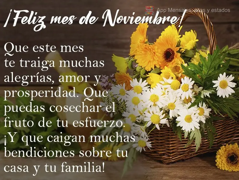 Que este mes te traiga muchas alegrías, amor y prosperidad. Que puedas cosechar el fruto de tu esfuerzo. ¡Y que caigan muchas bendiciones sobre tu casa...