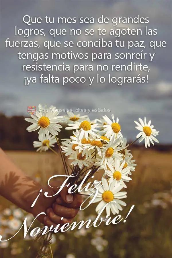 Que tu mes sea de grandes logros, que no se te agoten las fuerzas, que se conciba tu paz, que tengas motivos para sonreír y resistencia para no rendirte...