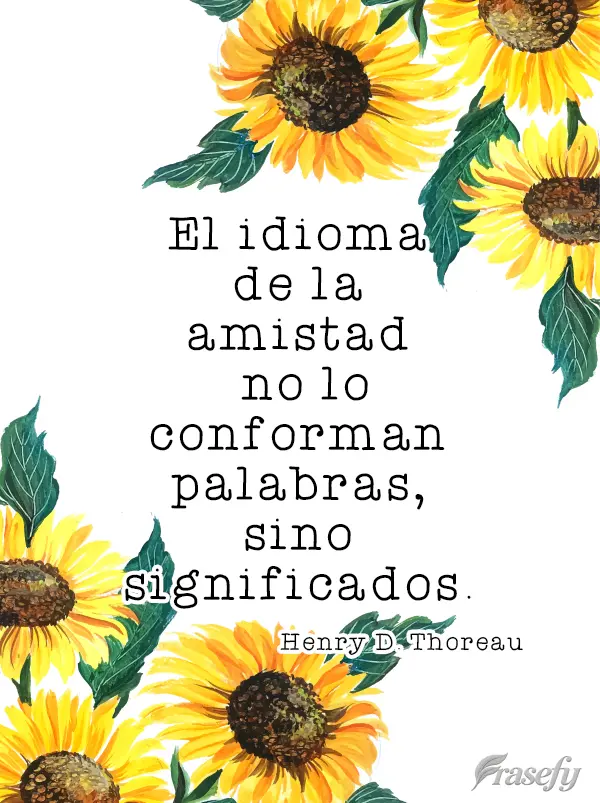 O idioma da amizade não são palavras, mas significados.  Henry David Thoreau