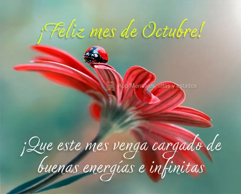 ¡Que este mes venga cargado de buenas energías e infinitas bendiciones! ¡Feliz mes de octubre!