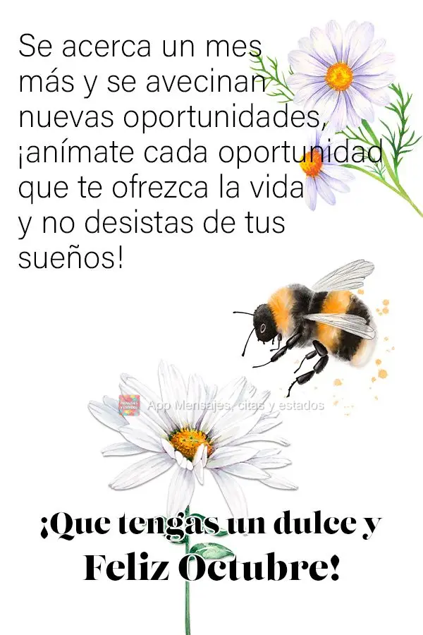 Se acerca un mes más y se avecinan nuevas oportunidades, ¡anímate cada oportunidad que te ofrezca la vida y no desistas de tus sueños! ¡Que tengas u...