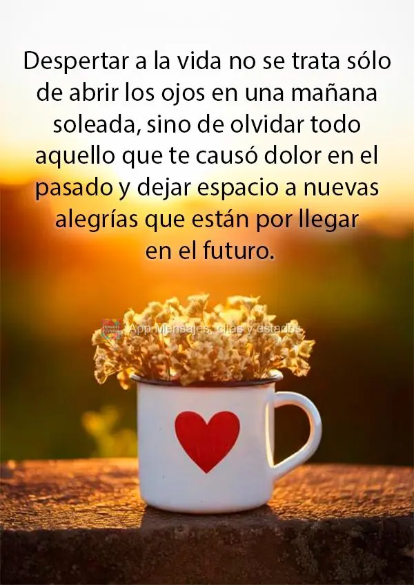 Despertar a la vida no se trata sólo de abrir los ojos en una mañana soleada, sino de olvidar todo aquello que te causó dolor en el pasado y dejar esp...