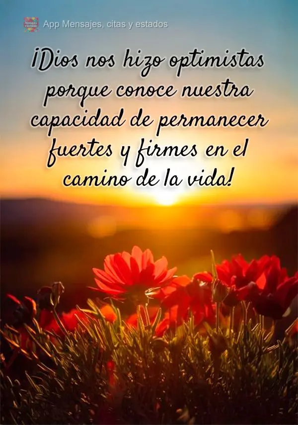 ¡Dios nos hizo optimistas porque conoce nuestra capacidad de permanecer fuertes y firmes en el camino de la vida!