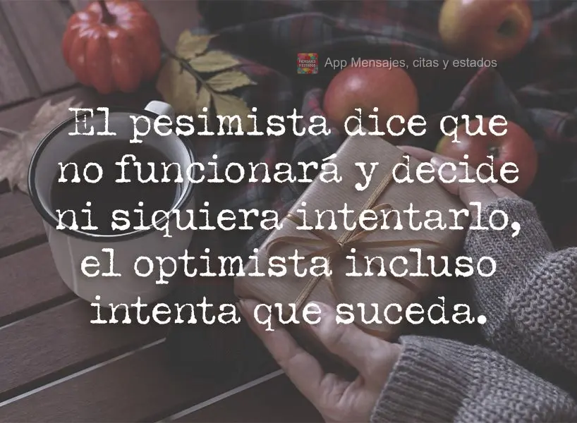 El pesimista dice que no funcionará y decide ni siquiera intentarlo, el optimista incluso intenta que suceda.