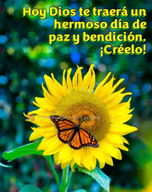 Hoy Dios te traerá un hermoso día de paz y bendición. ¡Créelo!