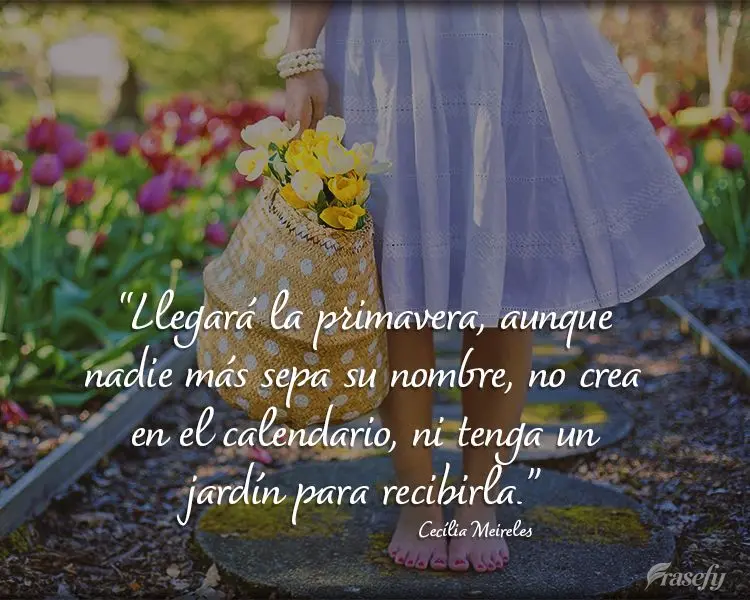 "Llegará la primavera, aunque nadie más sepa su nombre, no crea en el calendario, ni tenga un jardín para recibirla".  Cecília Meireles 