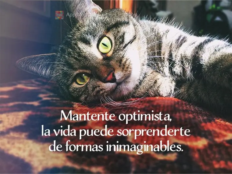 Mantente optimista, la vida puede sorprenderte de formas inimaginables.