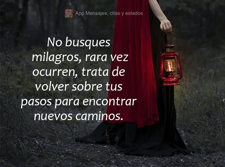 No busques milagros, rara vez ocurren, trata de volver sobre tus pasos para encontrar nuevos caminos.