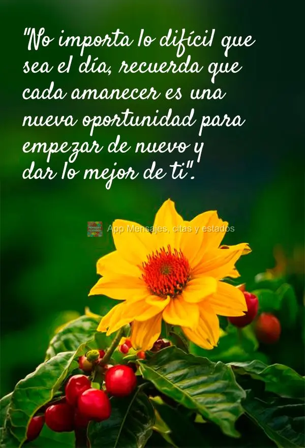 "No importa lo difícil que sea el día, recuerda que cada amanecer es una nueva oportunidad para empezar de nuevo y dar lo mejor de ti".