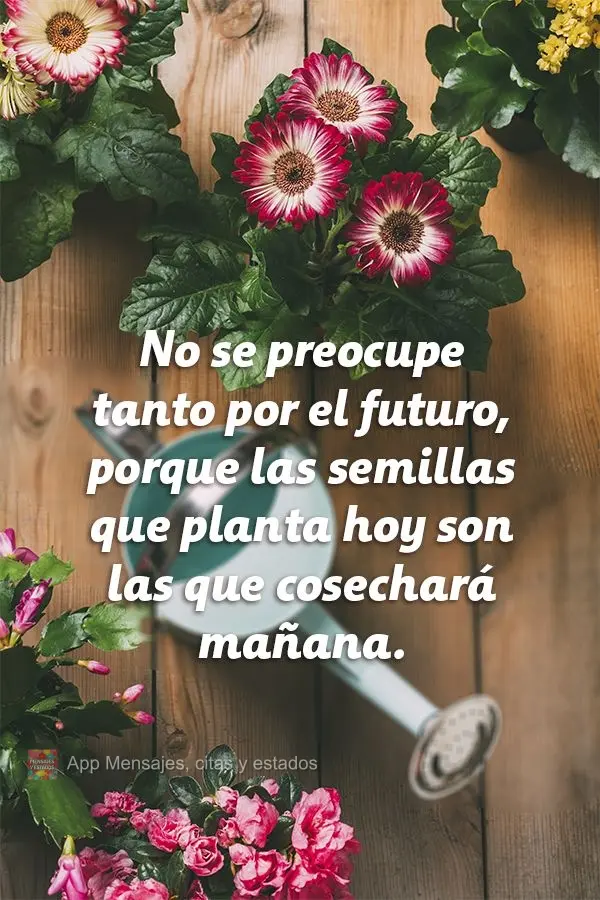 No se preocupe tanto por el futuro, porque las semillas que planta hoy son las que cosechará mañana.