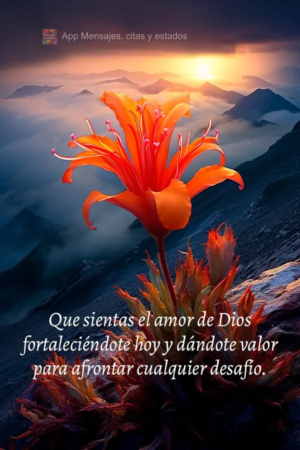 Que sientas el amor de Dios fortaleciéndote hoy y dándote valor para afrontar cualquier desafío.
