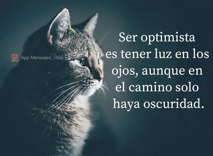 Ser optimista es tener luz en los ojos, aunque en el camino solo haya oscuridad.