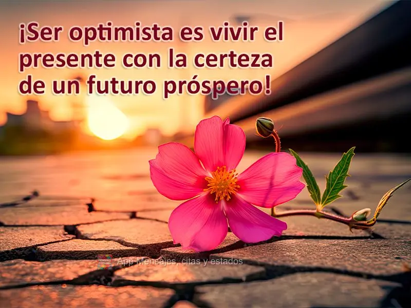 ¡Ser optimista es vivir el presente con la certeza de un futuro próspero!