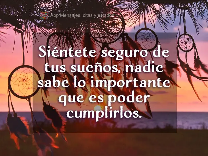 Siéntete seguro de tus sueños, nadie sabe lo importante que es poder cumplirlos.