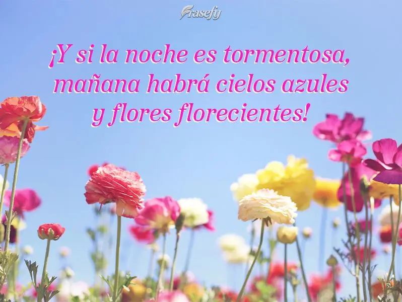¡Y si la noche es tormentosa, mañana habrá cielos azules y flores florecientes!