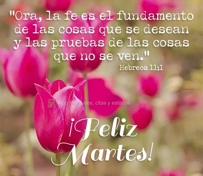 “Ora, la fe es el fundamento de las cosas que se desean y las pruebas de las cosas que no se ven."

Feliz martes Hebreos 11:1