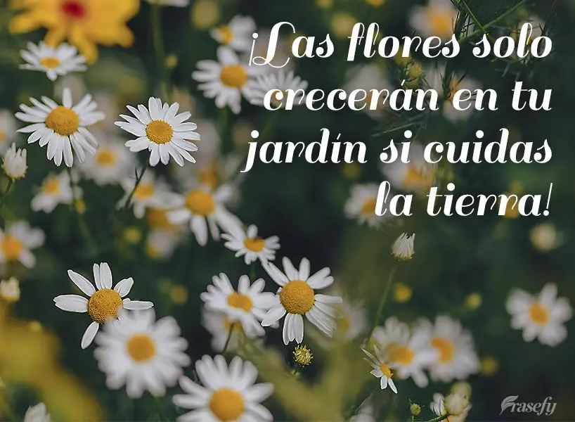 Só nascerá flores em seu jardim se você cuidar da terra!