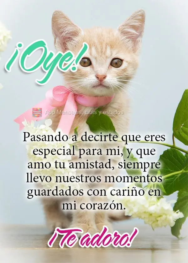 ¡Oye! Pasando a decirte que eres especial para mi, y que amo tu amistad, siempre llevo nuestros momentos guardados con cariño en mi corazón. ¡Te ador...