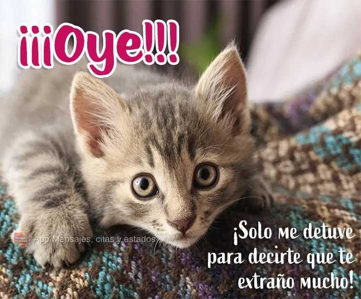 ¡¡¡Oye!!! ¡Solo me detuve para decirte que te extraño mucho!