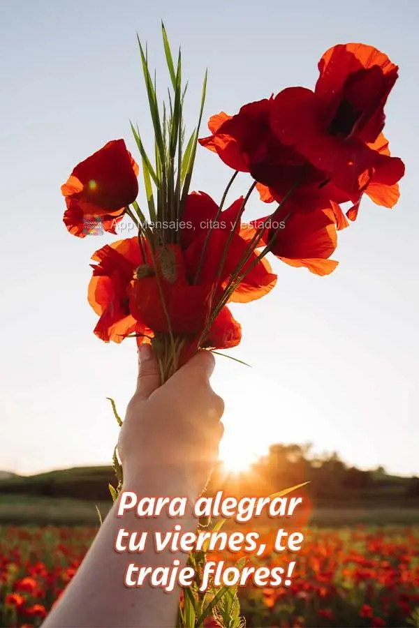 Para alegrar tu viernes, te traje flores!