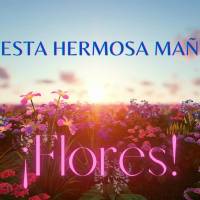 Para esta hermosa mañana… ¡Flores!