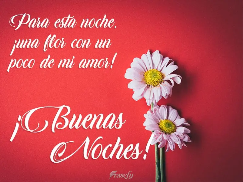 Para esta noche, ¡una flor con un poco de mi amor! ¡Buenas noches!
