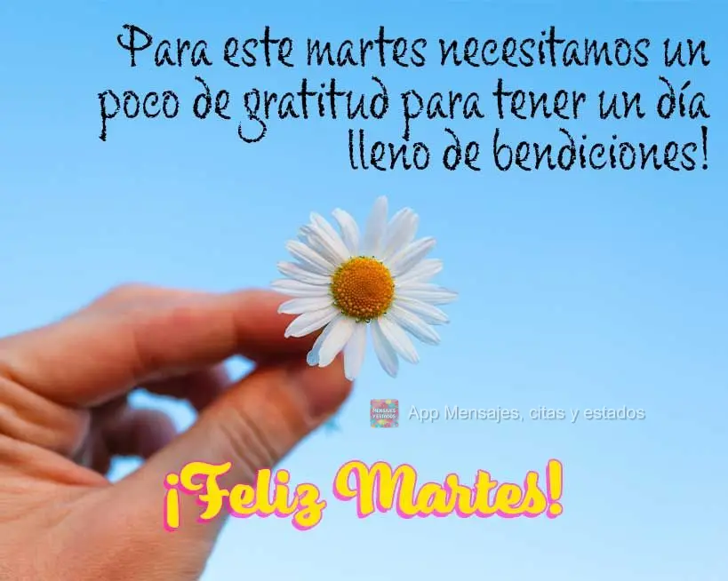Para este martes necesitamos un poco de gratitud para tener un día lleno de bendiciones! ¡Feliz martes!